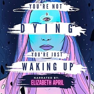 You're Not Dying You're Just Waking Up audiobook cover