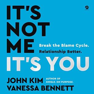 It's Not Me, It's You: Break the Blame Cycle. Relationship Better. audiobook cover