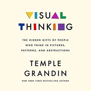 Visual Thinking: The Hidden Gifts of People Who Think in Pictures, Patterns, and Abstractions audiobook cover
