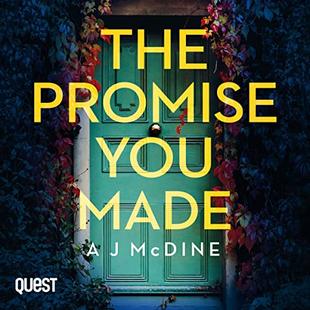 The Promise You Made audiobook cover