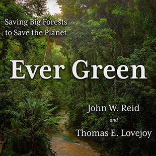 Ever Green: Saving Big Forests to Save the Planet audiobook cover