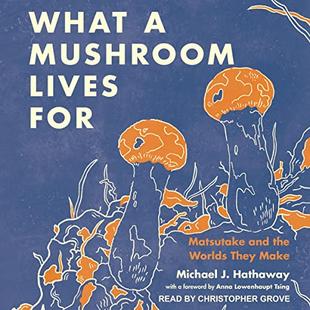 What a Mushroom Lives For: Matsutake and the Worlds They Make audiobook cover