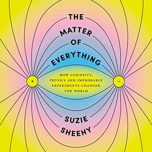 The Matter of Everything: How Curiosity, Physics, and Improbable Experiments Changed the World audiobook cover