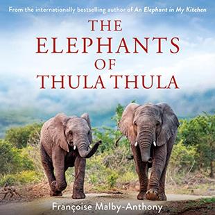 The Elephants of Thula Thula: Elephant Whisperer, Book 3 audiobook cover