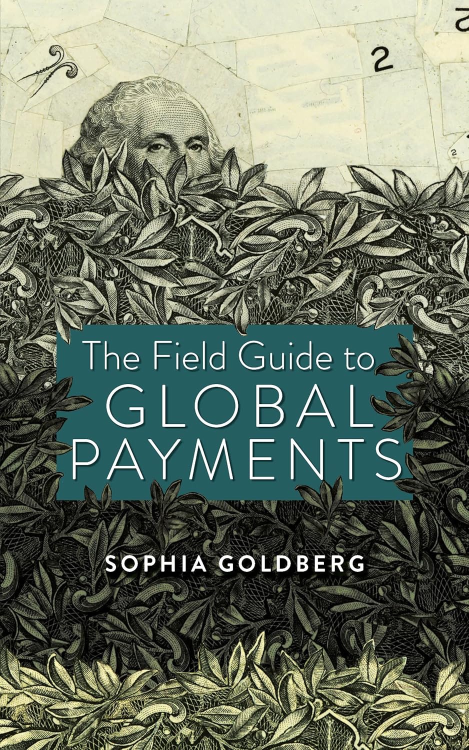 The Field Guide to Global Payments audiobook cover
