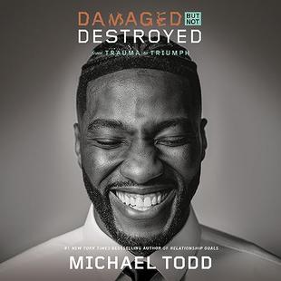 Damaged but Not Destroyed: From Trauma to Triumph audiobook cover