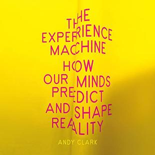 The Experience Machine: How Our Minds Predict and Shape Reality audiobook cover