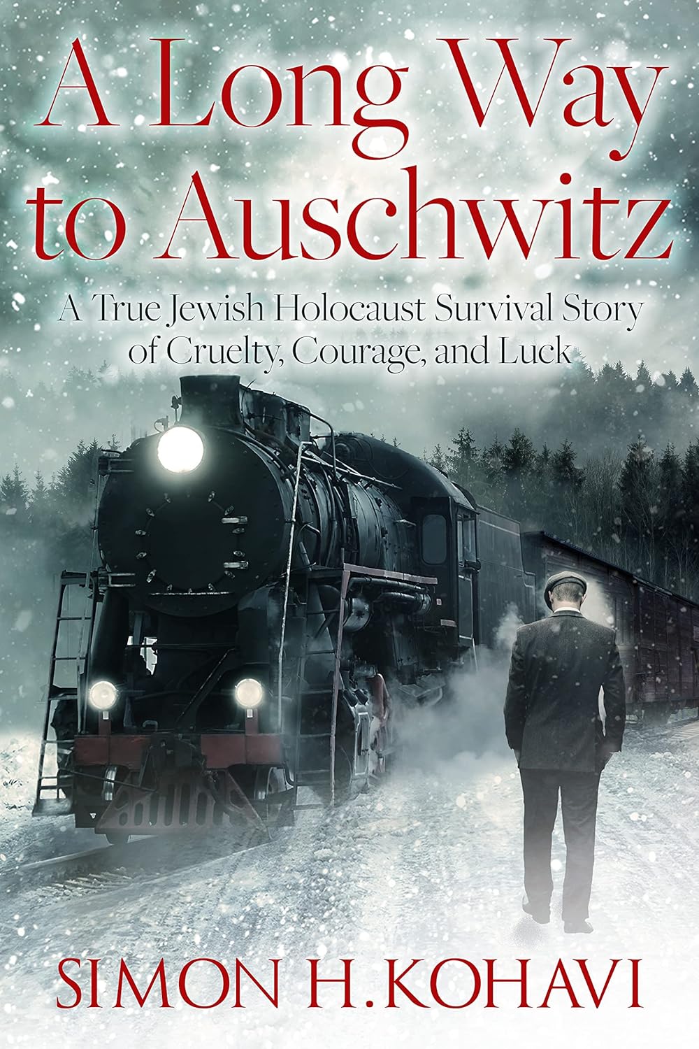 A Long Way to Auschwitz: A True Jewish Holocaust Survival Story of Cruelty, Courage, and Luck audiobook cover