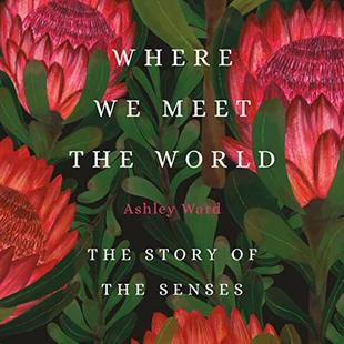 Where We Meet the World: The Story of the Senses audiobook cover