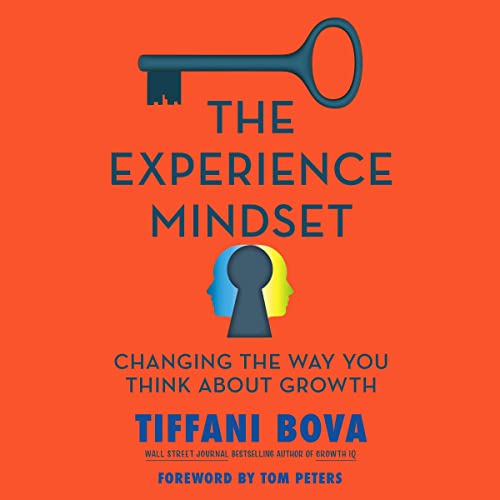 The Experience Mindset: Changing the Way You Think About Growth audiobook cover