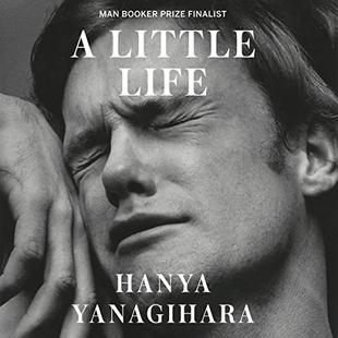 A Little Life: A Novel audiobook cover