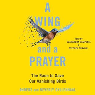 A Wing and a Prayer: The Race to Save Our Vanishing Birds audiobook cover