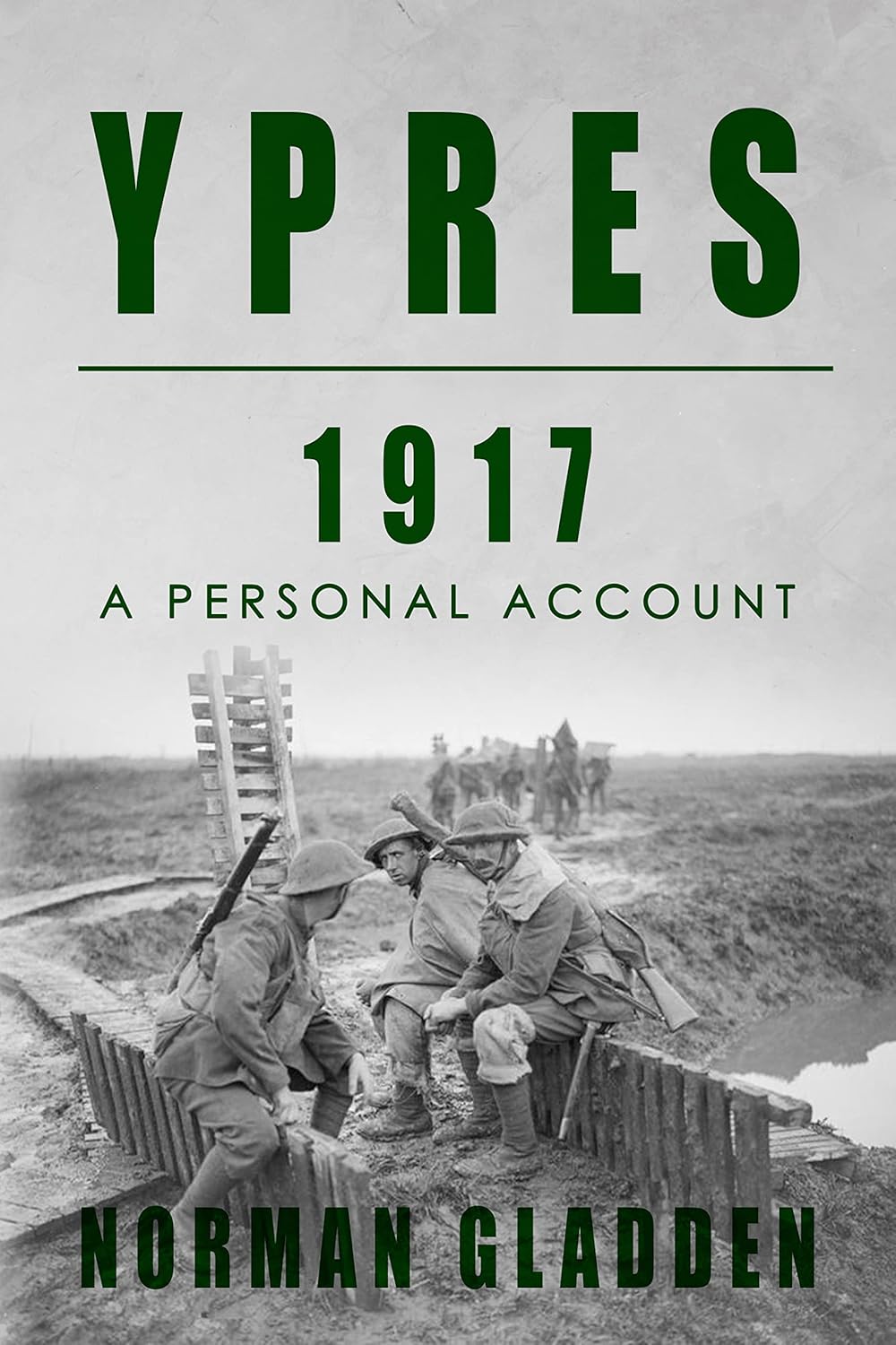 Ypres, 1917: A Personal Account audiobook cover