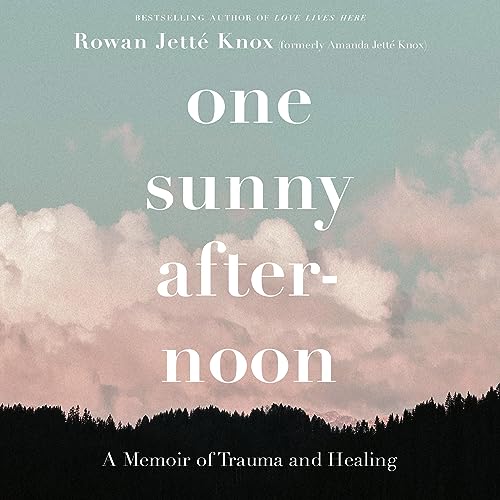 One Sunny Afternoon: A Memoir of Trauma and Healing audiobook cover