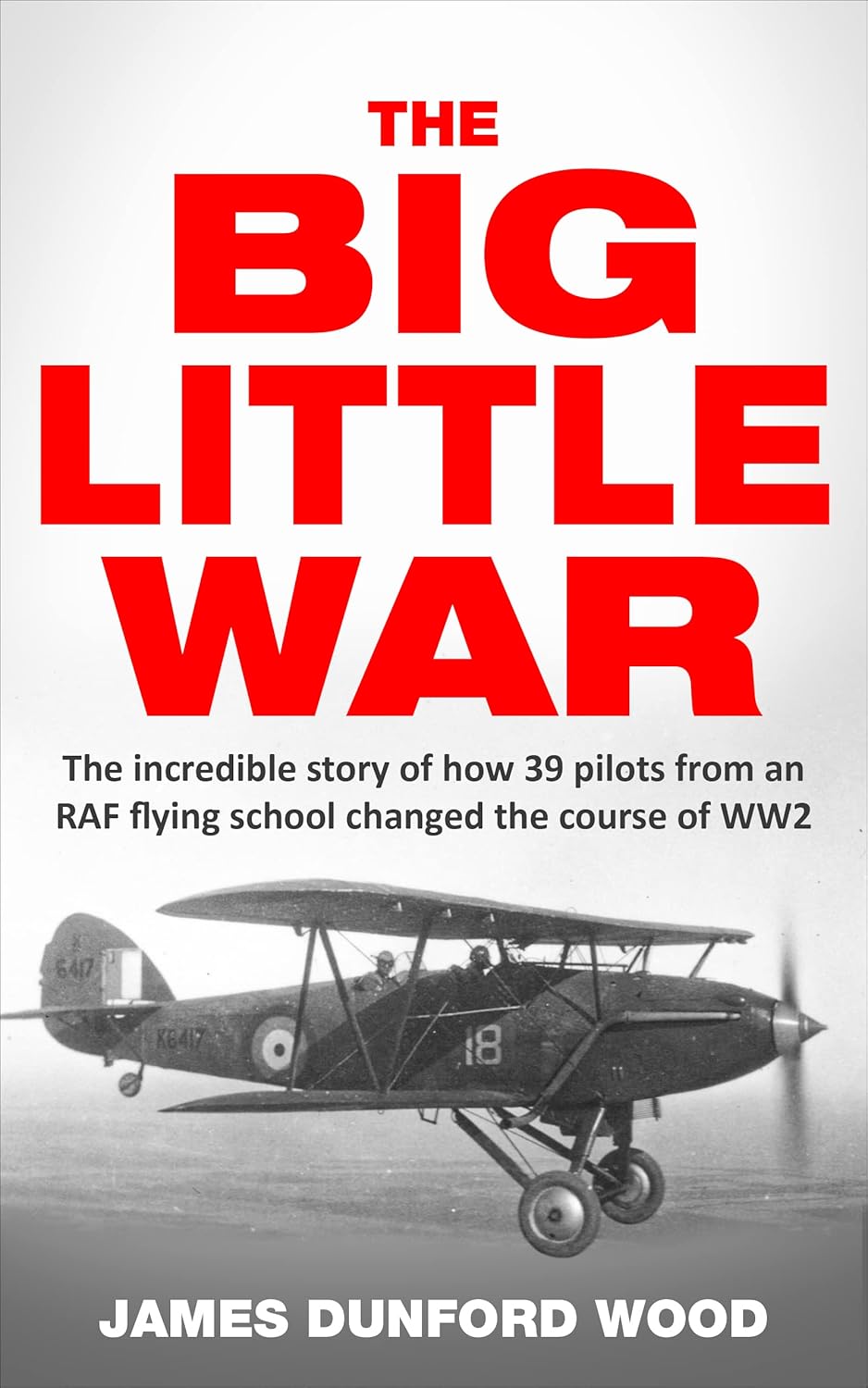 The Big Little War: A World War II epic audiobook cover