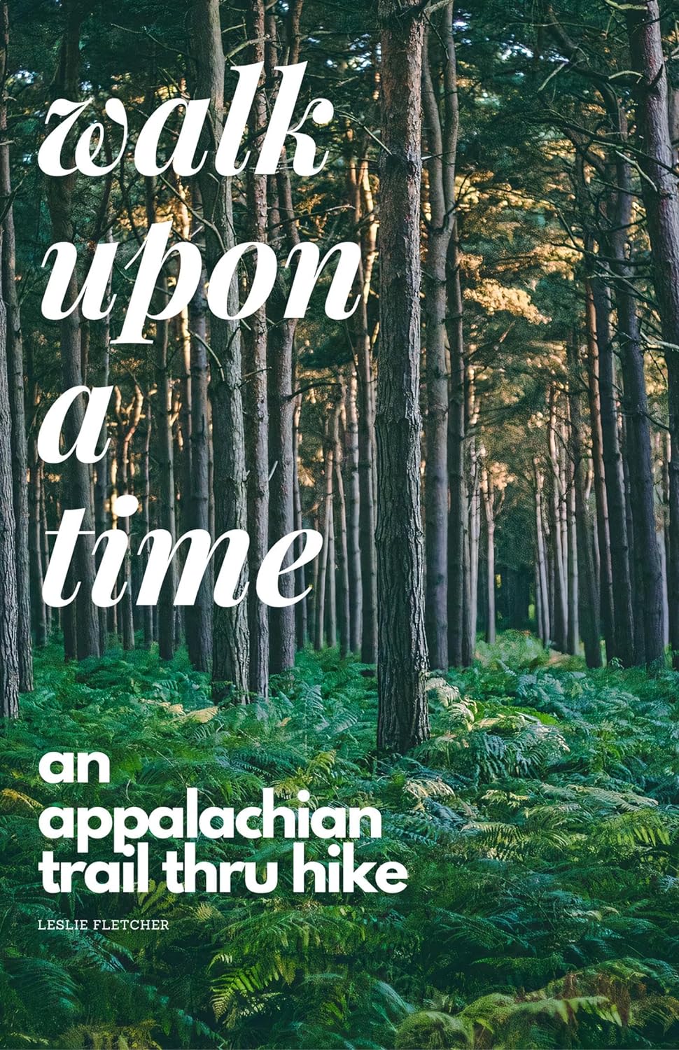Walk Upon A Time: An Appalachian Trail Thru-hike audiobook cover