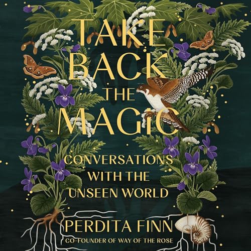 Take Back the Magic: Conversations with the Unseen World audiobook cover