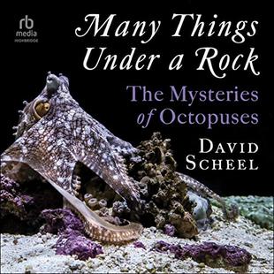 Many Things Under a Rock: The Mysteries of Octopuses audiobook cover