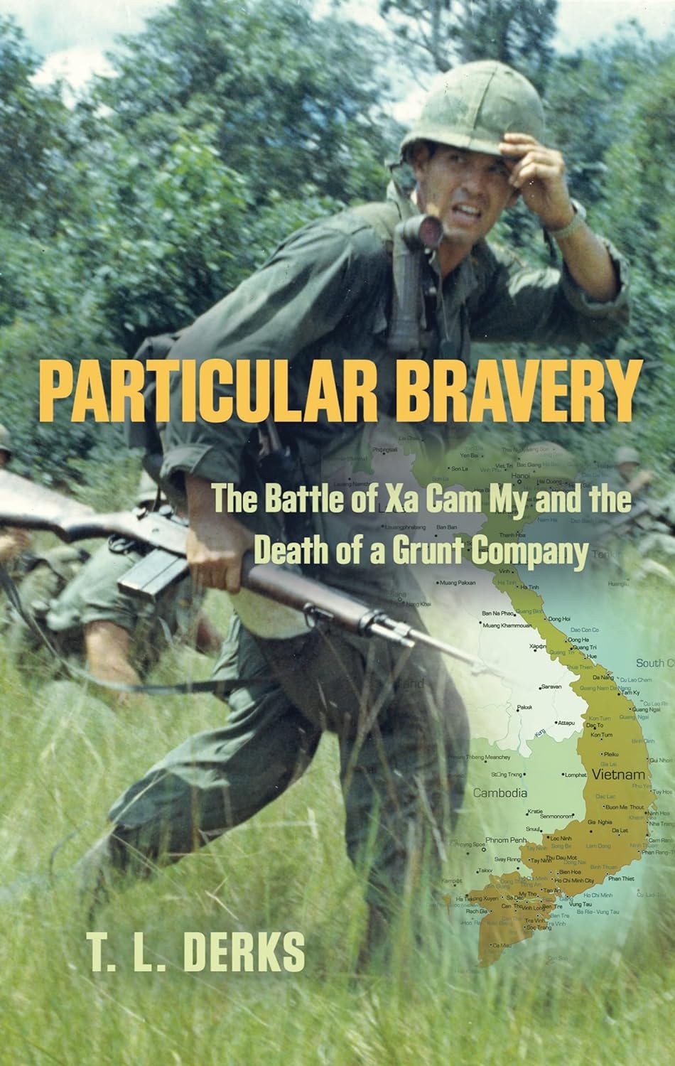 Particular Bravery: The Battle of Xa Cam My and the Death of a Grunt Company audiobook cover