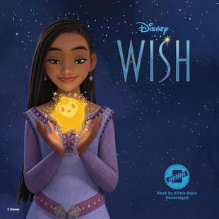 Disney Wish audiobook cover