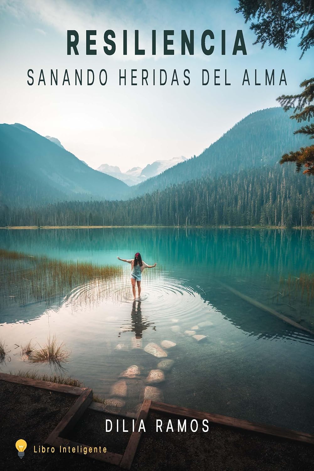 Resiliencia: Sanando Heridas del Alma (Spanish Edition) audiobook cover