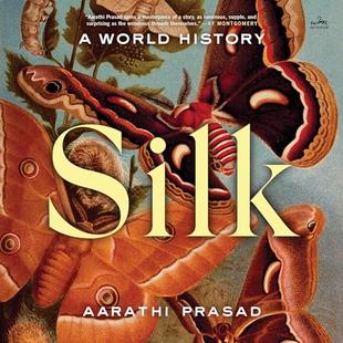 Silk: A World History audiobook cover