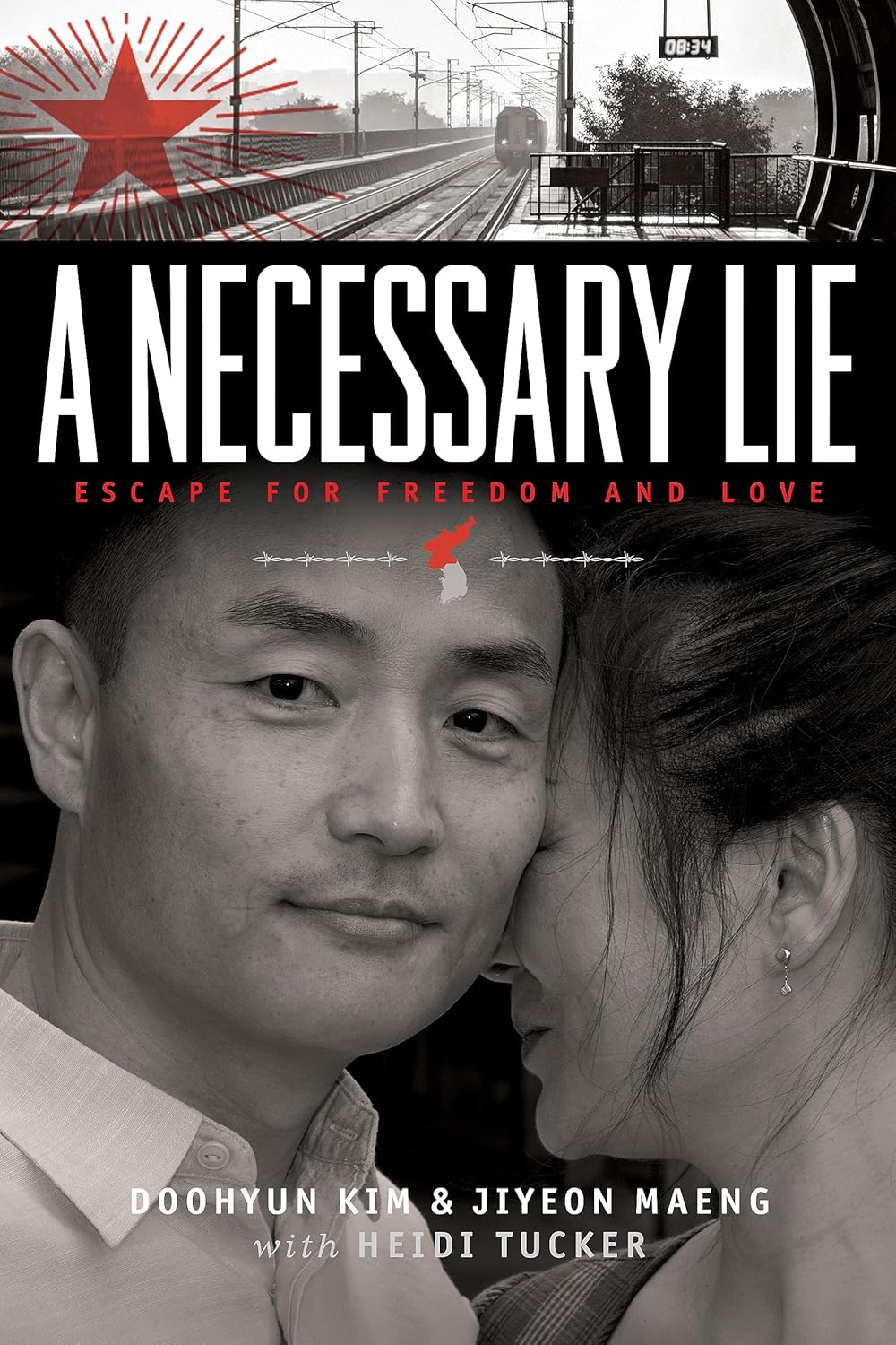 A Necessary Lie: Escape for Freedom and Love audiobook cover