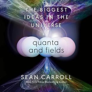 Quanta and Fields: The Biggest Ideas in the Universe audiobook cover