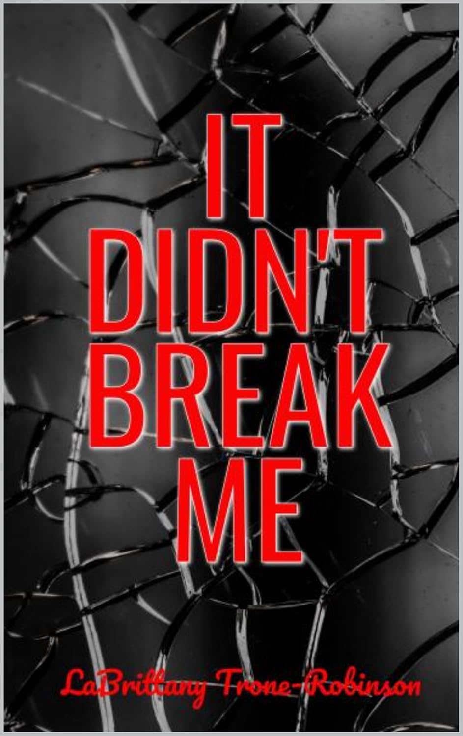 It Didn't Break Me! audiobook cover