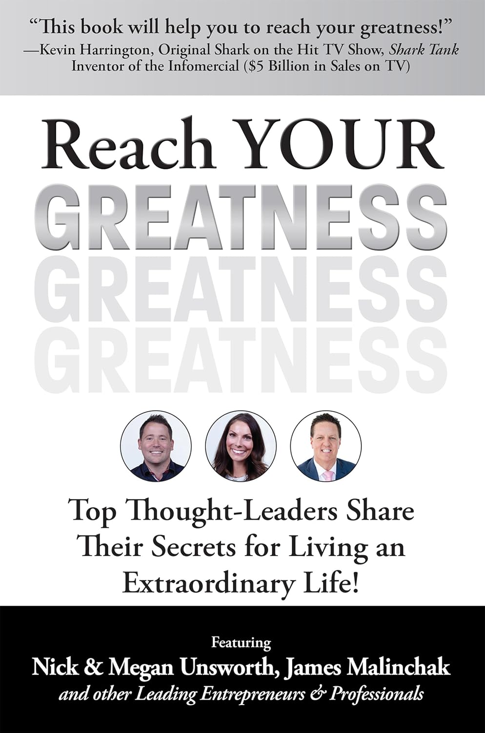 Reach YOUR Greatness: Top Thought-Leaders Share Their Secrets for Living an Extraordinary Life! audiobook cover