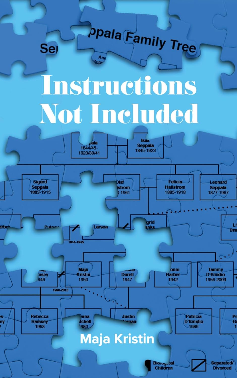 Instructions Not Included audiobook cover