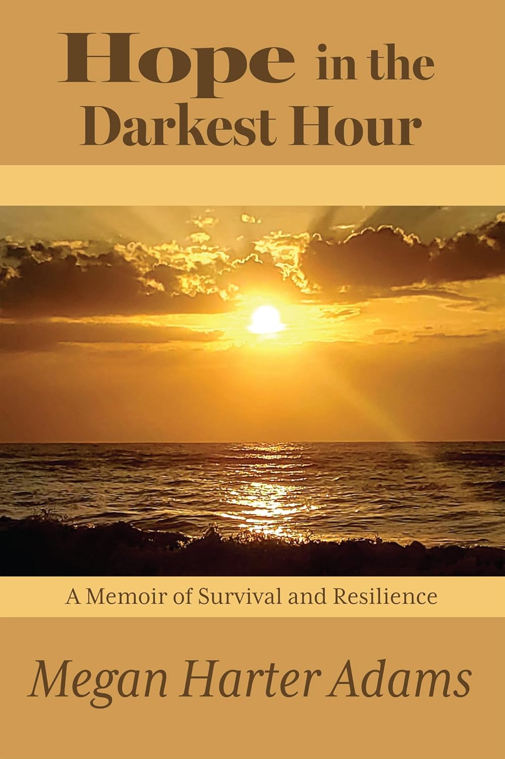 Hope in the Darkest Hour: A Memoir of Survival and Resilience audiobook cover