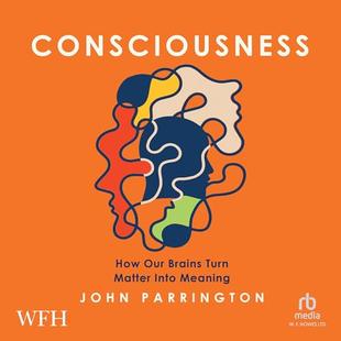 Consciousness: How Our Brains Turn Matter into Meaning audiobook cover