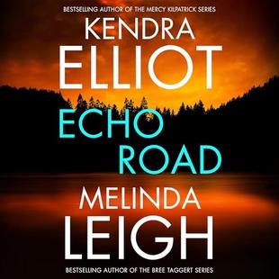Echo Road audiobook cover