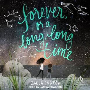 Forever, or a Long, Long Time audiobook cover