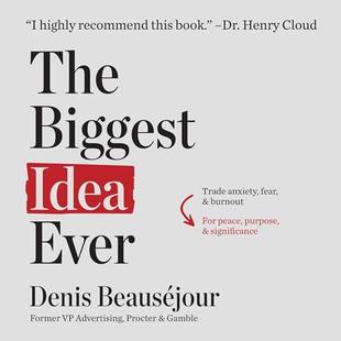 The Biggest Idea Ever: Trade Anxiety, Fear, and Burnout for Peace, Purpose, and Significance audiobook cover