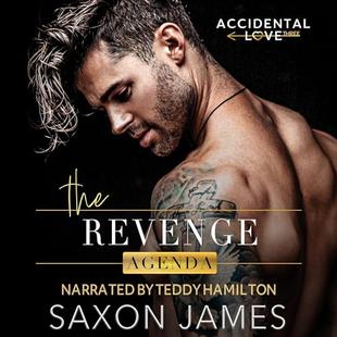 The Revenge Agenda: Accidental Love, Book 3 audiobook cover
