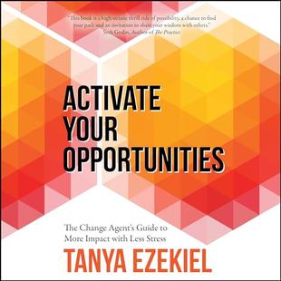 Activate Your Opportunities: The Change Agent’s Guide to More Impact with Less Stress audiobook cover