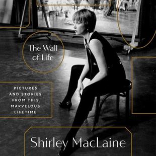 The Wall of Life: Pictures and Stories from This Marvelous Lifetime audiobook cover