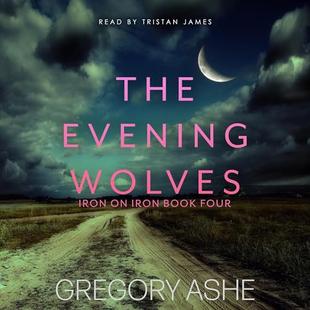 The Evening Wolves: Iron on Iron, Book 4 audiobook cover