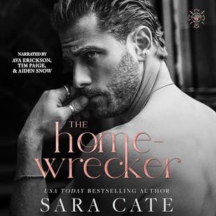 The Home-Wrecker: The Goode Brothers audiobook cover