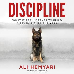 Discipline: What it Really Takes to Build a Seven-Figure Business audiobook cover