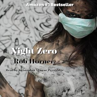 Night Zero audiobook cover