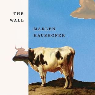 The Wall audiobook cover