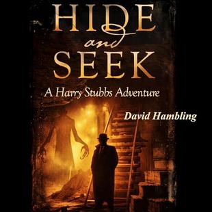 Hide and Seek: A Harry Stubbs Adventure audiobook cover