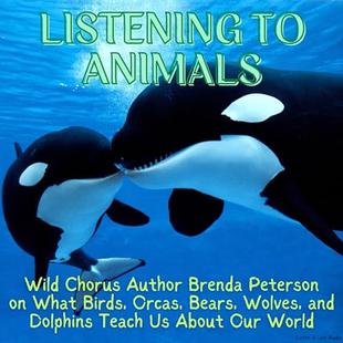 Listening to Animals: Wild Chorus Author Brenda Peterson on What Birds, Orcas, Bears, Wolves, and Dolphins Teach Us About Our World audiobook cover
